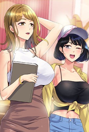 钢之炼金术师 封面